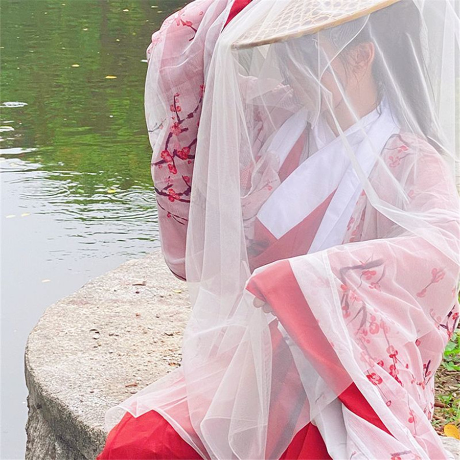 Chinese Traditional Dress for  - Ethnic Dress Fashion Show review and price